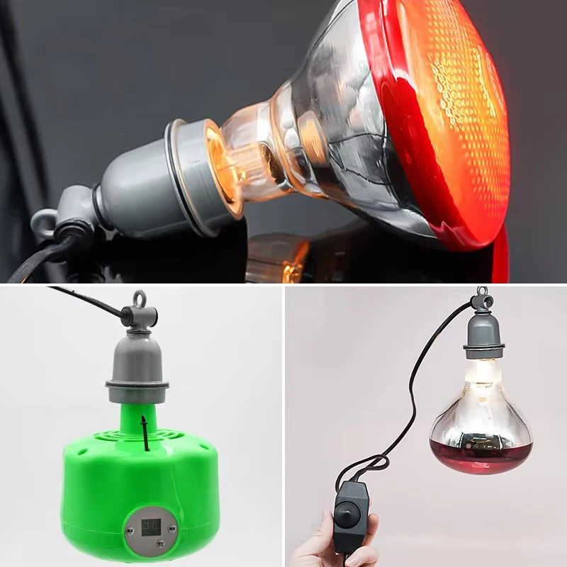Support de lampe chauffante pour reptiles et animaux de compagnie, E27, avec interrupteur de commande du cordon d'alimentation, pour porcelet, poulet, couveuse, prise de lumière en spirale