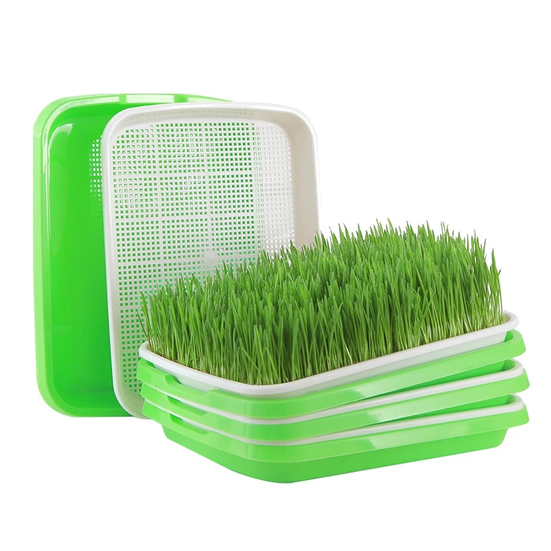 Sprout Horticultural Hydroponic Systems Tray Household Potted Vegetables Buckwheat Double Layer Grass Germination Nursery Tray