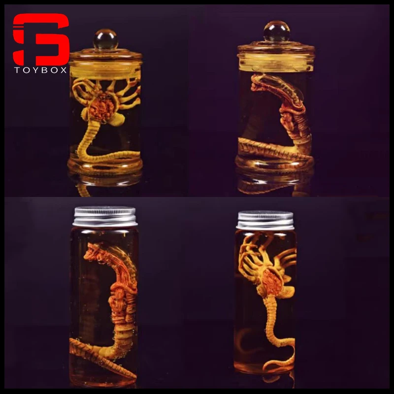 In Stock Fire Girl Toys 1/6 Alien Chestburster Facehugger Model With Canister Scene Props Fit 12'' Action Figure Body