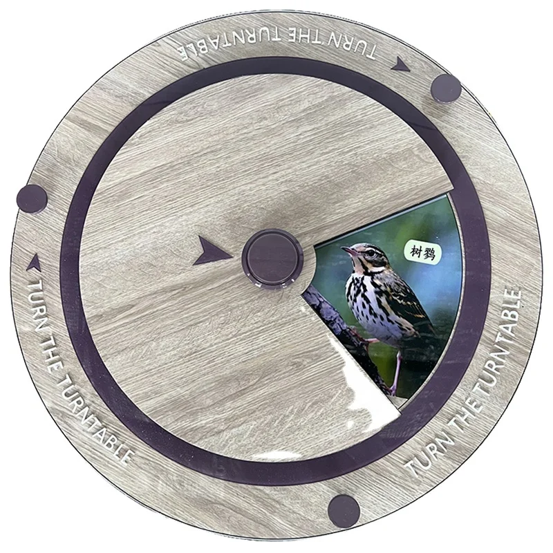 Rotating Wheel Picture Listening Interactive Sound Bird Chirping Science Exhibit Science Games Interactive Games