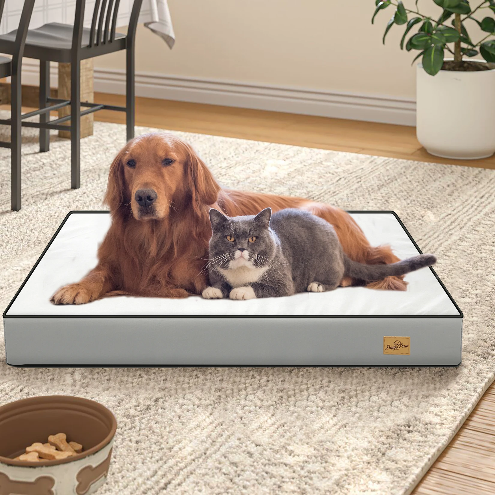 Waterproof Dog Bed Large Foam Pet Lounge With Washable And Removable Cover for Small Medium And Large Dogs 3