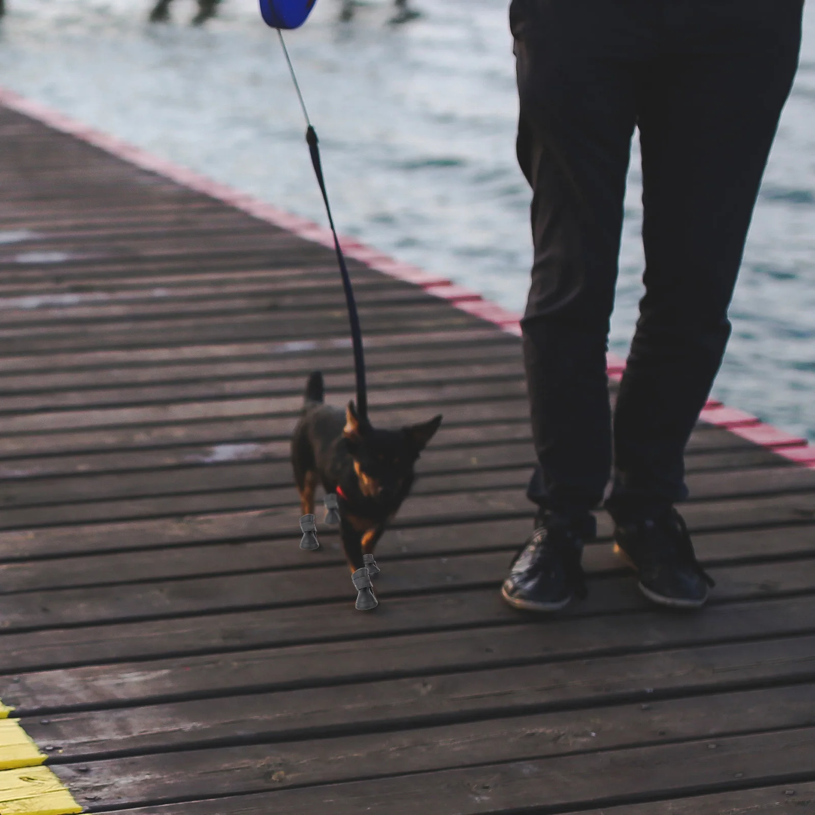 

Pet Non-slip Shoes Waterproof Snow Boots Puppy Rain Dog Walking Booties Feet Covers