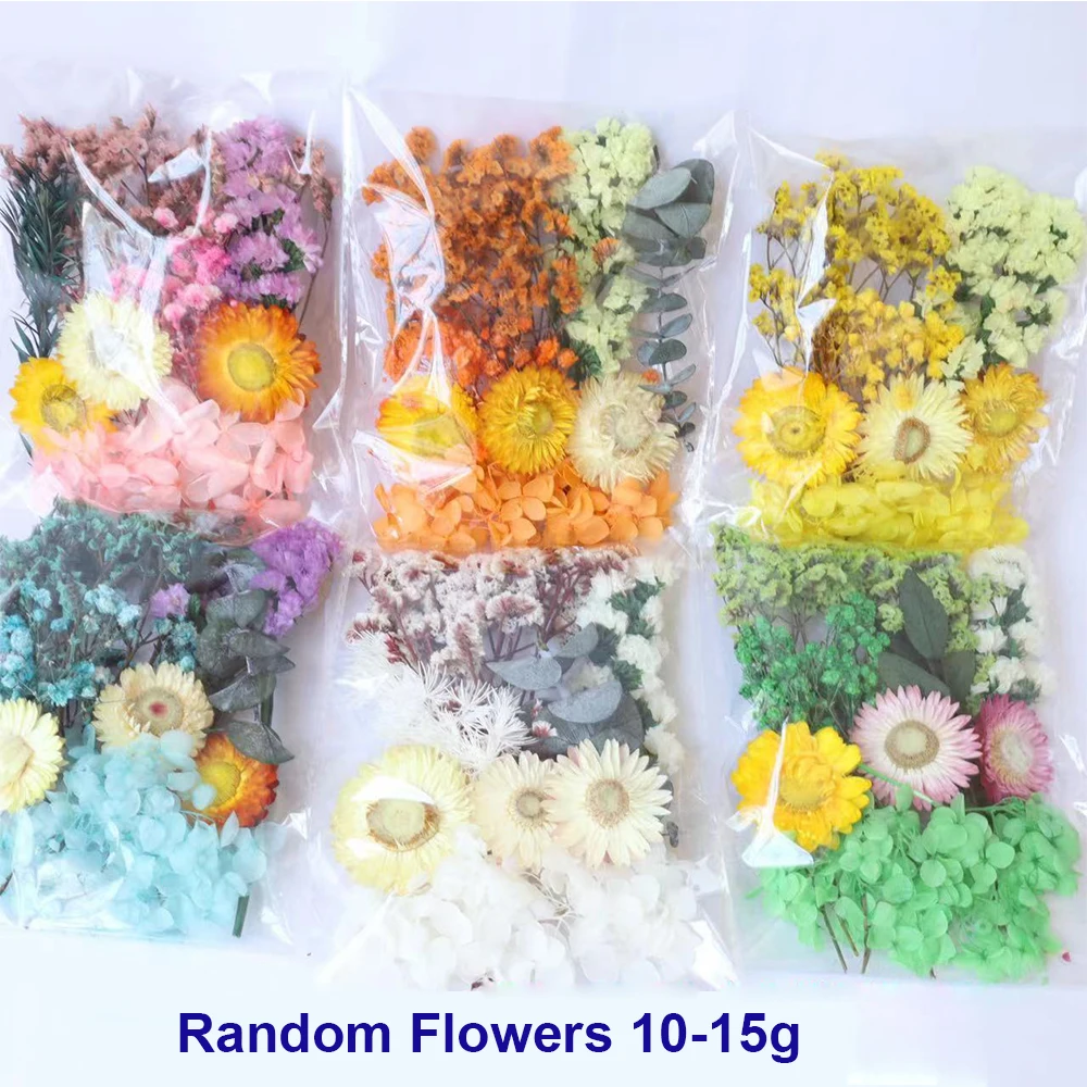 Dried Everlasting Flowers DIY Material Kit Mixed Bag Flower Material Children's Holiday Handmade Photo Frame Fan Material