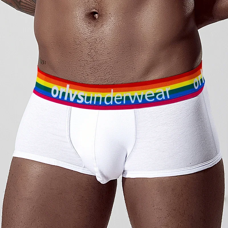 

4 PCS/LOT Men Underwear Cotton Men Boxer Breathable Cueca Tanga Male Pants Men's Shorts High Quality Soft Low Waist Underpants