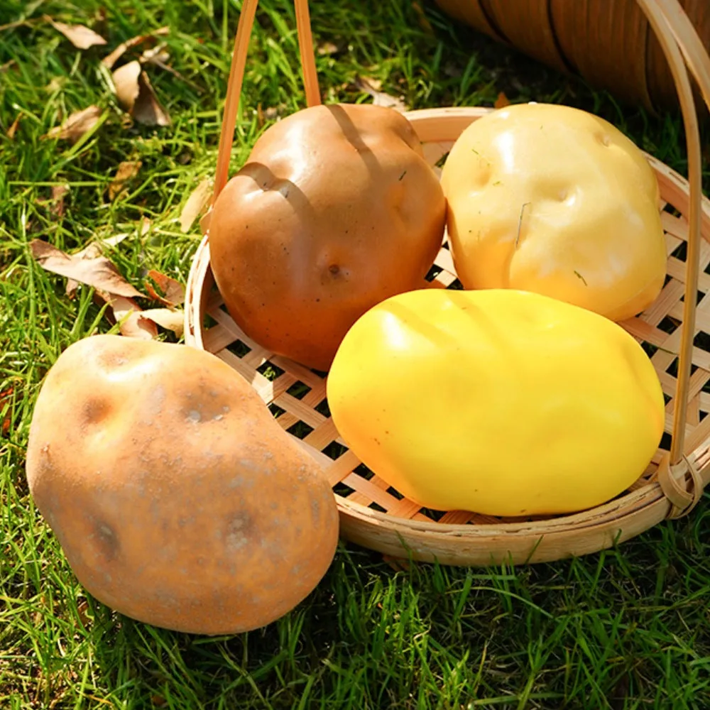 

5 Pcs/Lot simulation artificial fake vegetables Kitchen dining room hall restaurant decoration potato vegetables model