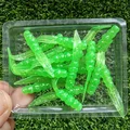 GD26 20pcs 03