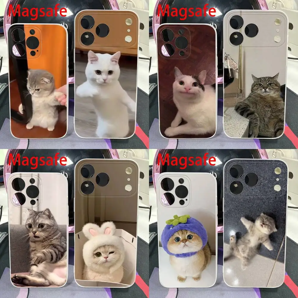

Cute Pet Cat Funny Meme Phone Case For iPhone 14,16,15,11,13,17,12,Air,Mini,Plus,E,Pro,Max Magnetic Magsafe Frosted Cover