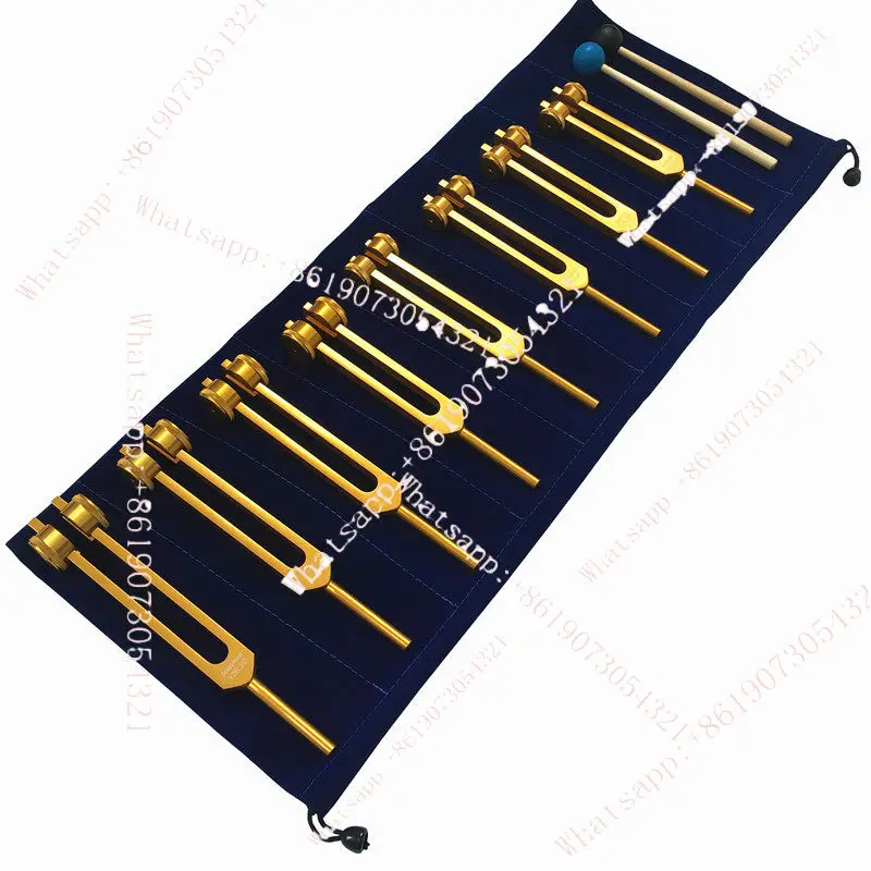 126.22 om136.1 tuning fork group 141.27 172.06 194.18 210.4 221.23 272.20 Order remarks Color Aluminum case 3-12 with speakers