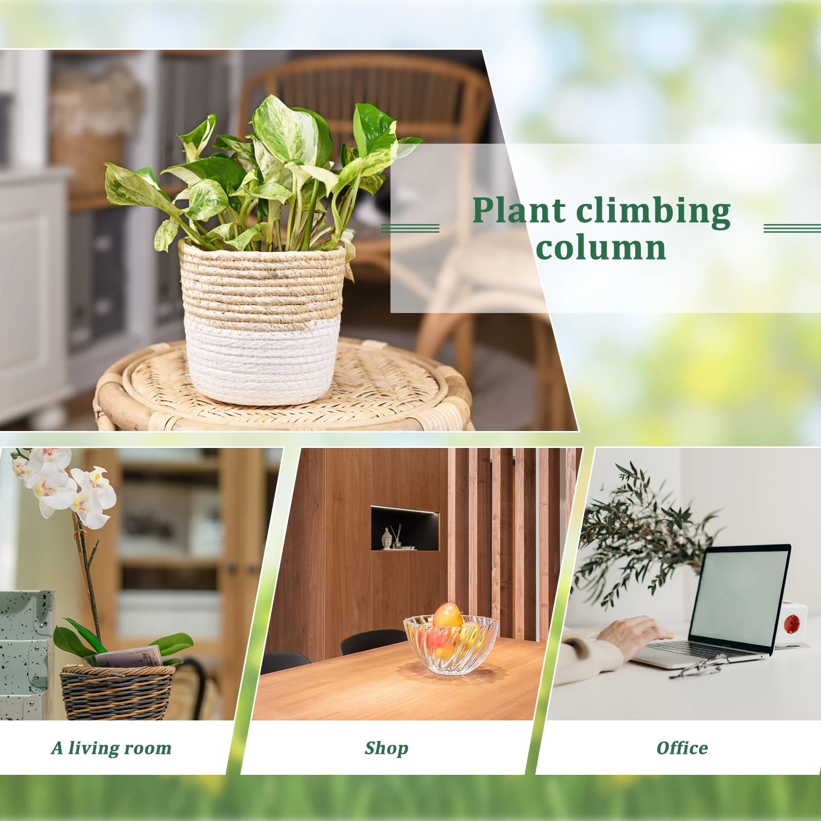 

1Set Moss Poles Plant Climbing Column Monstera Support Indoor Trellis Vine Holder Garden Supplies Plant Climbing Column