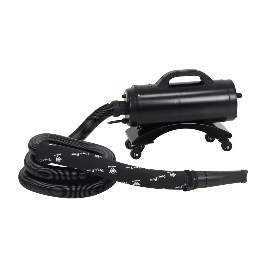 

Автомобильный вентилятор с двумя двигателями CB-900XT, бесконтактный осушитель воздуха для автомойки