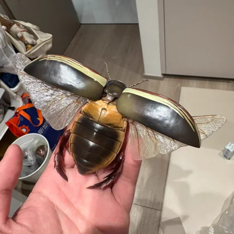 Movable Diving Beetle Collectible Figure, Bandai Gashapon Simulation Aquatic Insect Model, Desktop Display Ornament