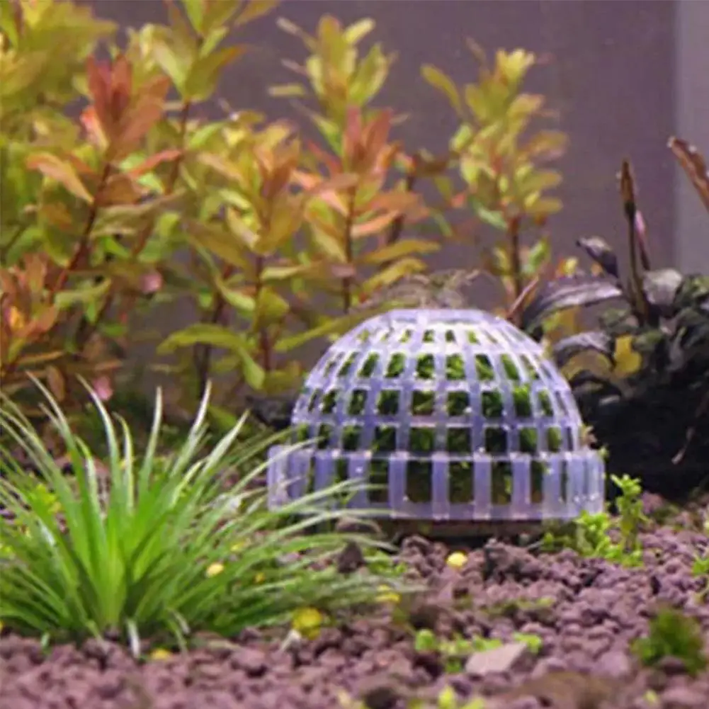 Aquarium Dekoration Pflanzen Bio Moos Ball Halter für Aquarium Kristall Rot Garnelen Haus Aquarium Dekor Filter Zubehör – Detail 8