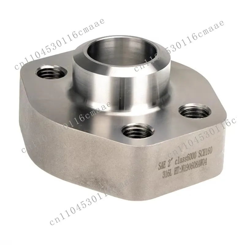 316L SAE Stainless Steel Hydraulic Flange ISO 6161/6162 Counter Weld & Slip on Flange Forged Square Shape