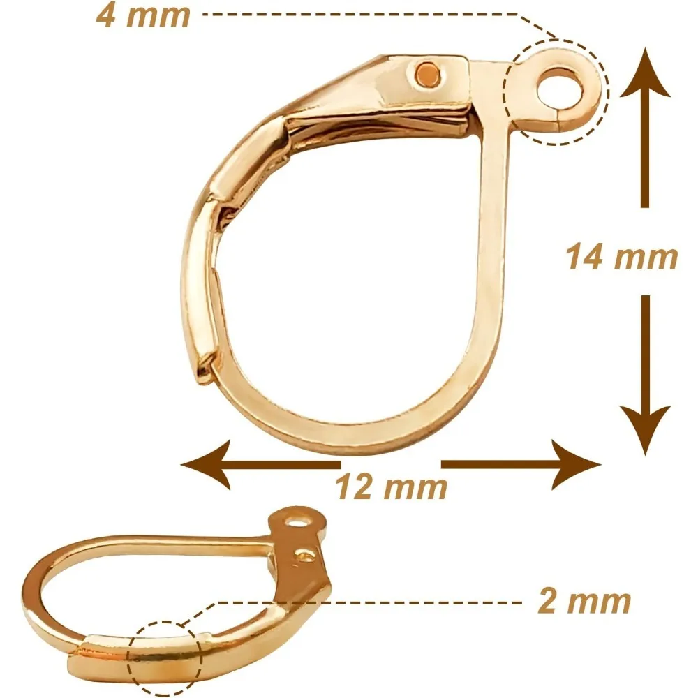 100pcs Hypoallergenic Earring Hooks, Leverback Earwire French Hook with Open Loop for Earring Designs Jewelry Findings