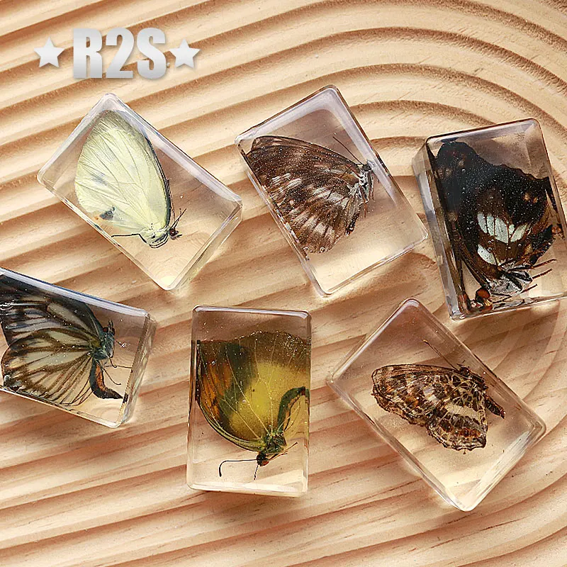 蝶虫標本バグコレクション、文鎮arachnid、仕様の装飾、ホーム