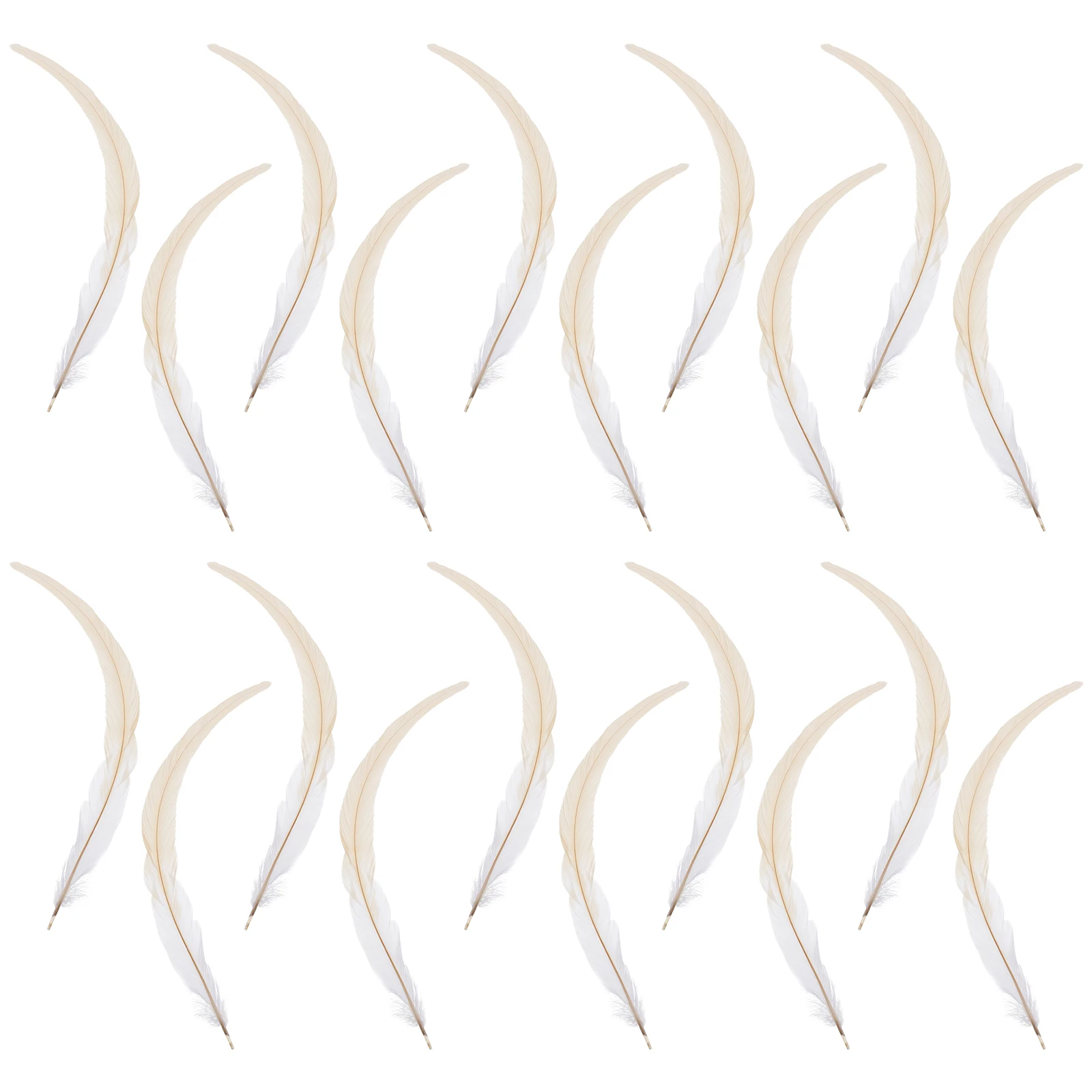 

50 pcs 33-40Cm Natural Rooster Tail Waterproof Body-Friendly Diy Craft Decoration Hat Dress Shoe Accessories White