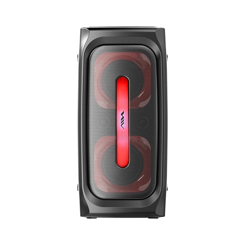 Aihua SS-X300DSP PRO Series High Quality Japanese Sports & Entertainment Speaker Hot Sale