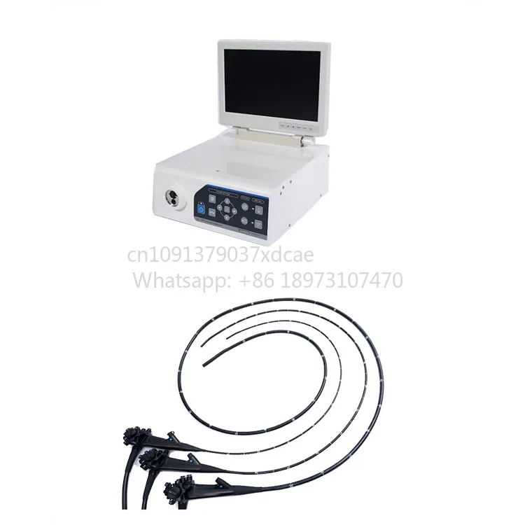 2026 New Veterinary Endoscopy Irrigation Pump Water Air Supply System For GI Check
