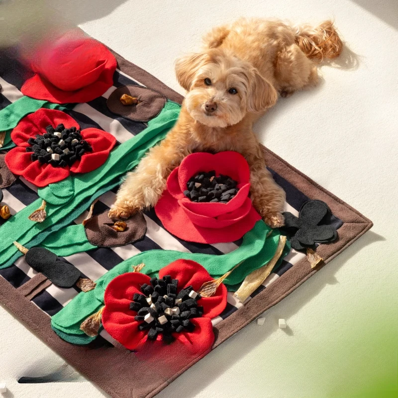 

Dogs smell the pad, cats leak food, smart hidden food, consume energy and physical strength, smell the pad, and enrich