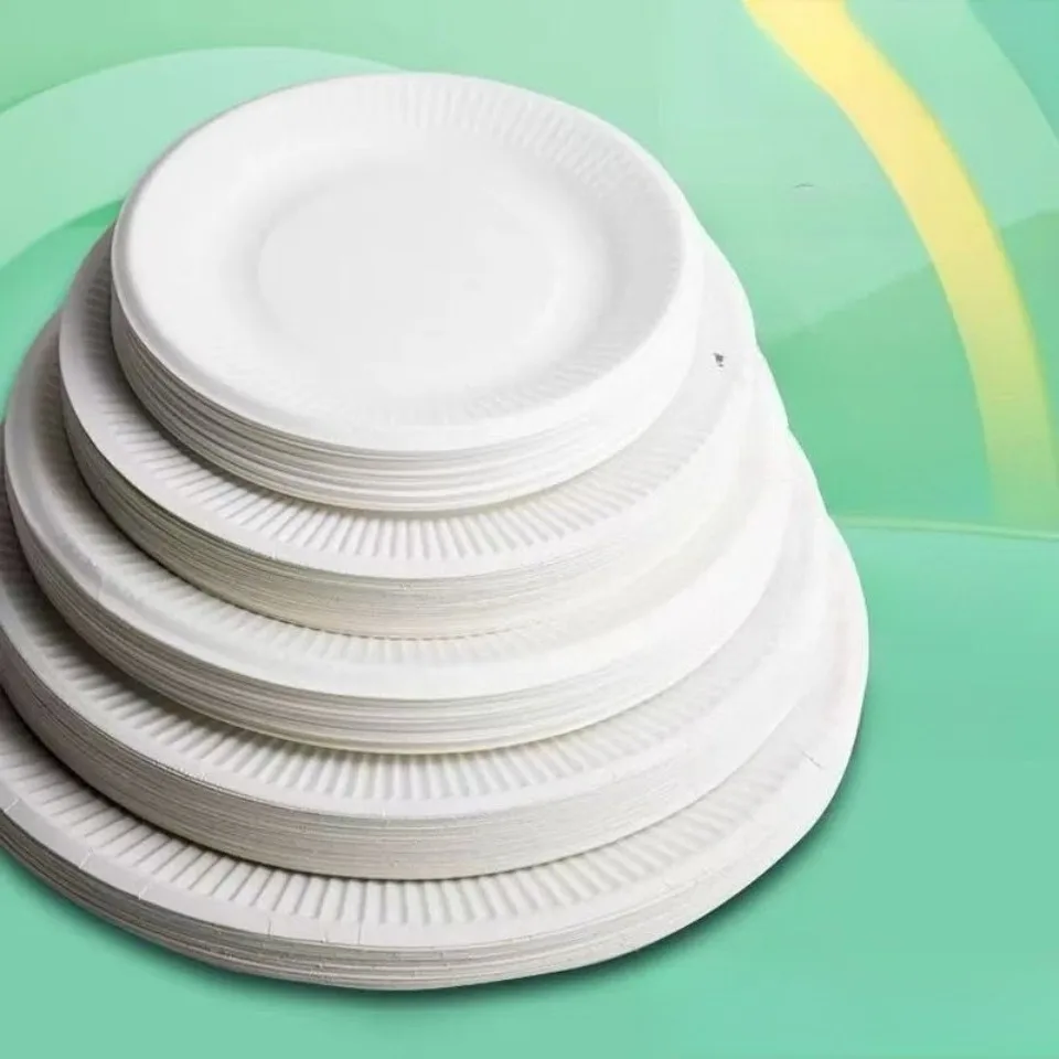 50 Stück Pappteller, Einweg-Partygeschirr, Knochenspuckplatte, Picknickplatte, Kinderzeichnung, DIY, weißer Karton, Decora – Detail 1