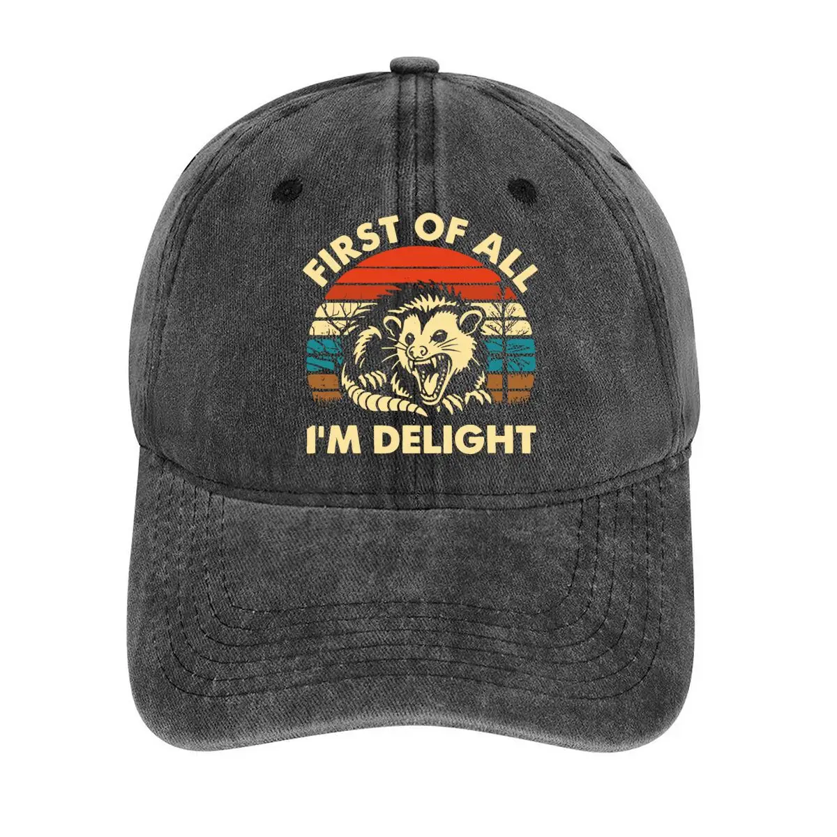 

First of All I'm Delight Lion Design Inspirational and Positive, with a Lion and Uplifting Phrase Washed Baseball Cap