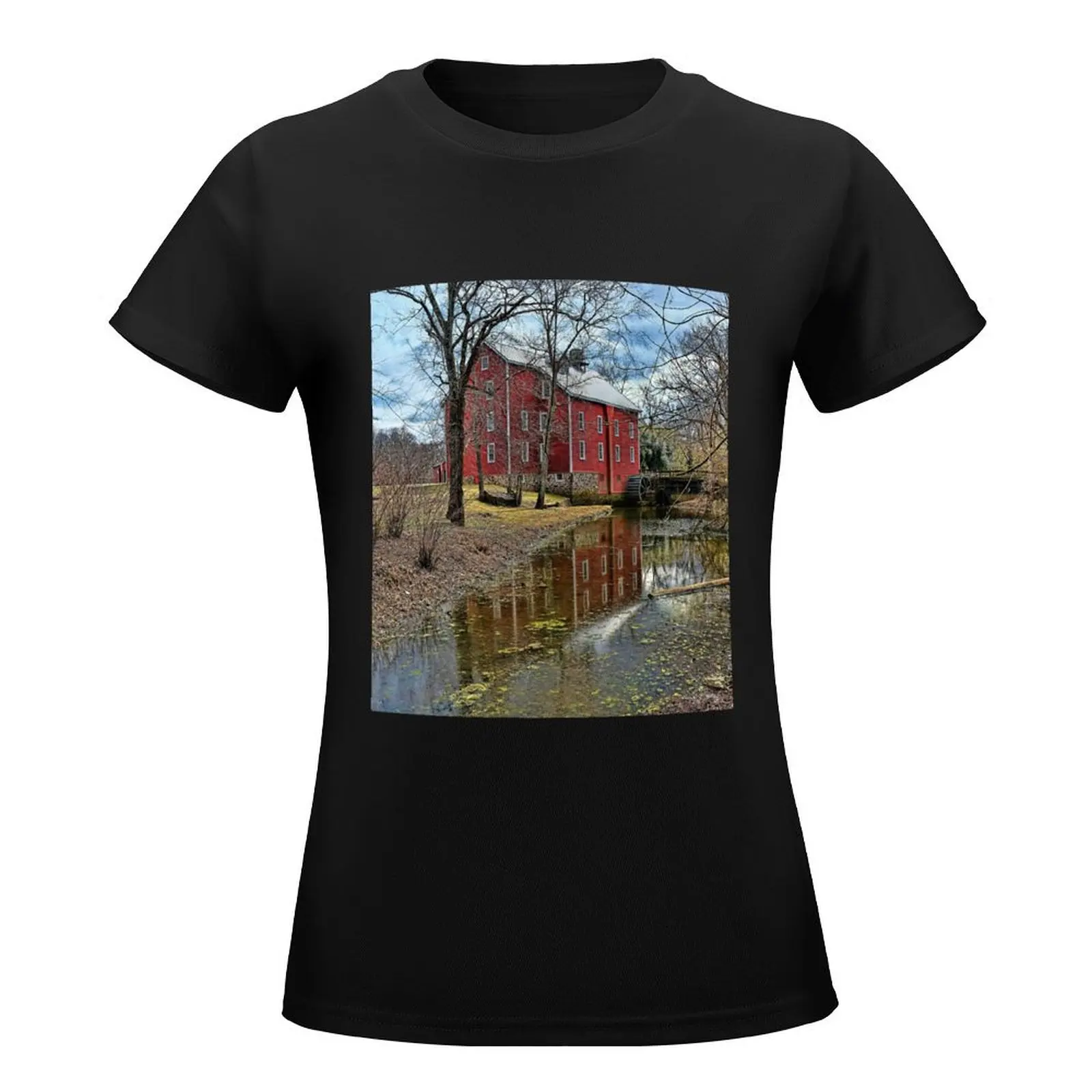New Jersey Historical Site T-Shirt Aesthetic clothing tops kawaii clothes oversized Top Women