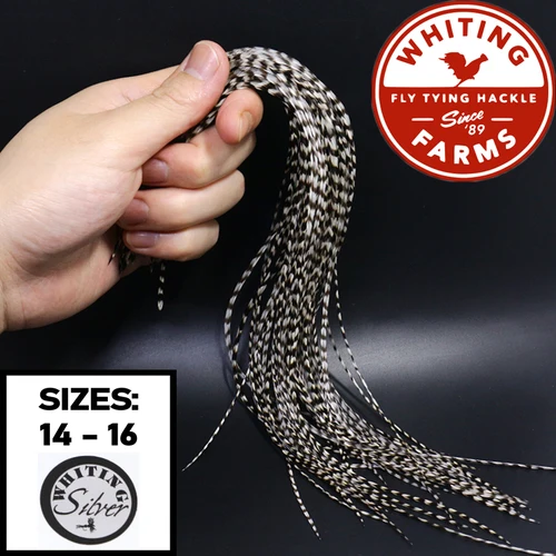 Paquete de 20 plumas plateadas para montar, paquete de plumas para atar moscas, color blanco y negro