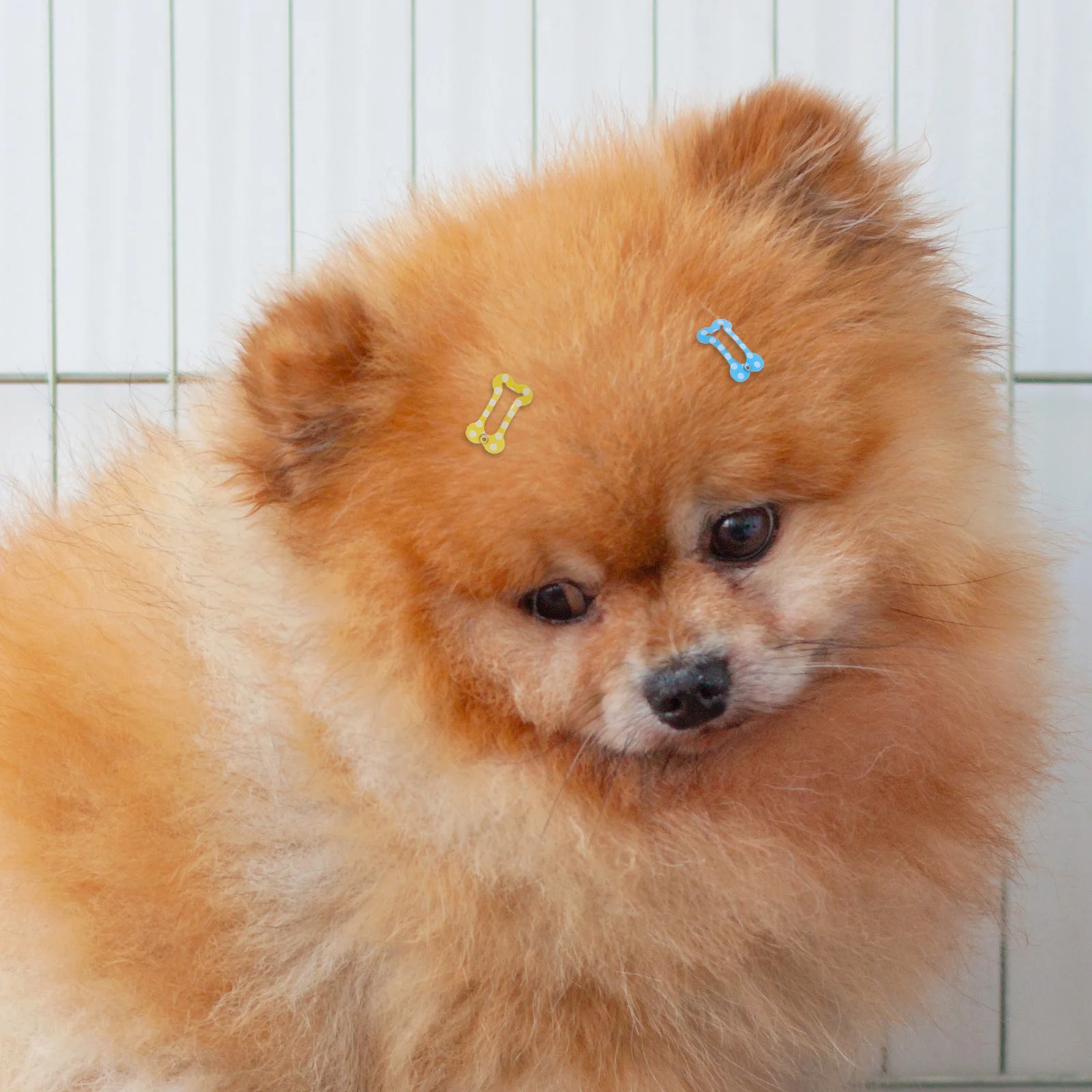 

20pcs Bone Shape Hair Clips For Dogs Durable Pet Artificial Ponytail Holders Dog Fashion Accessories