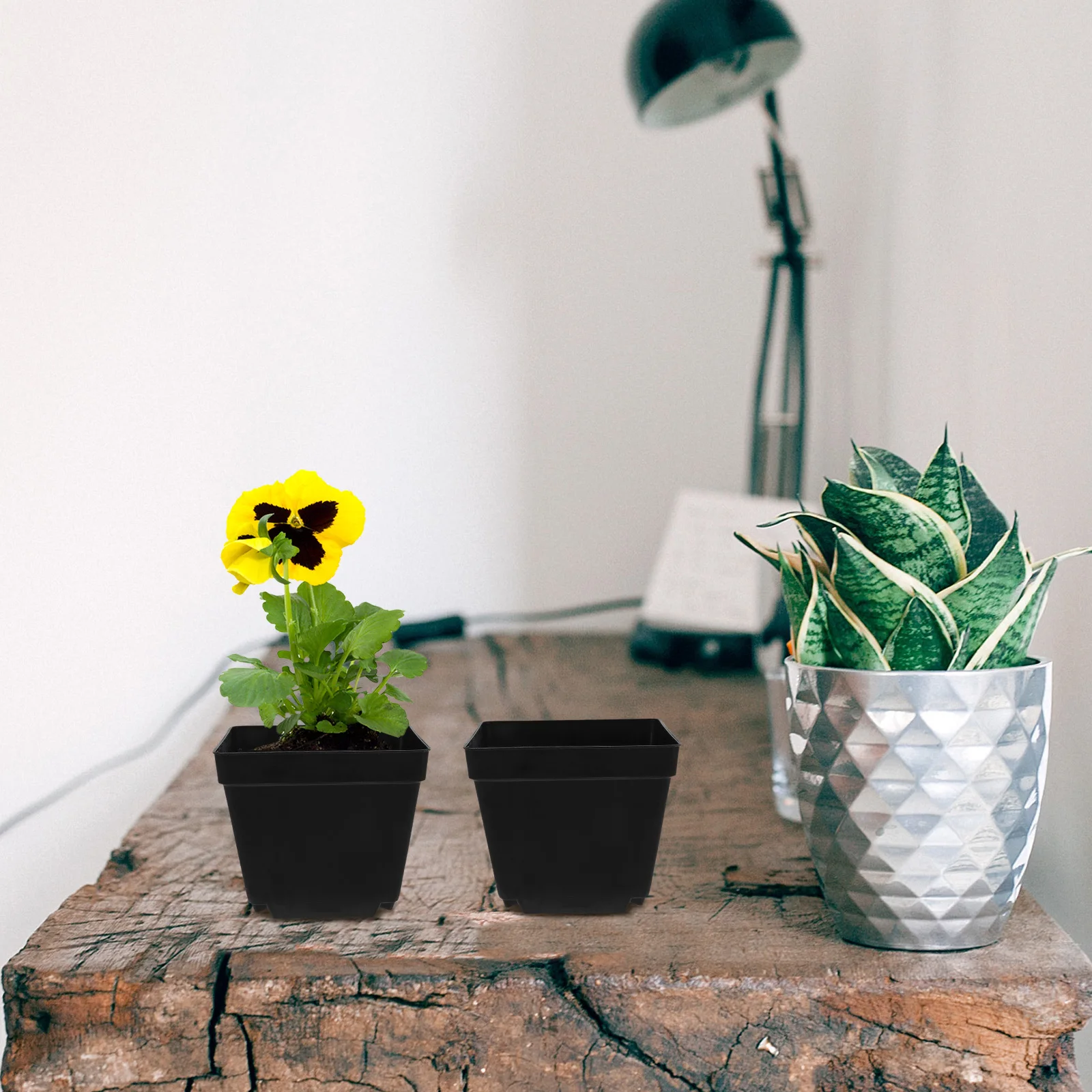 

50 шт. мини пластиковые квадратные цветочные горшки сочные горшки декоративные держатели для домашнего офиса аксессуары для садовых растений