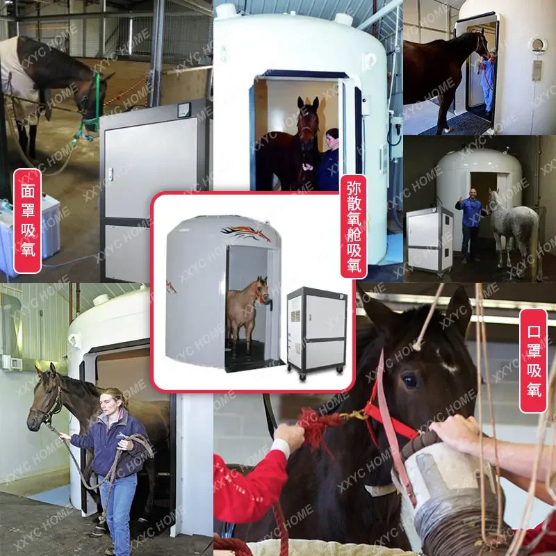 Large Animal Pet  Setup Oxygen Machine Supply Machine Breeding