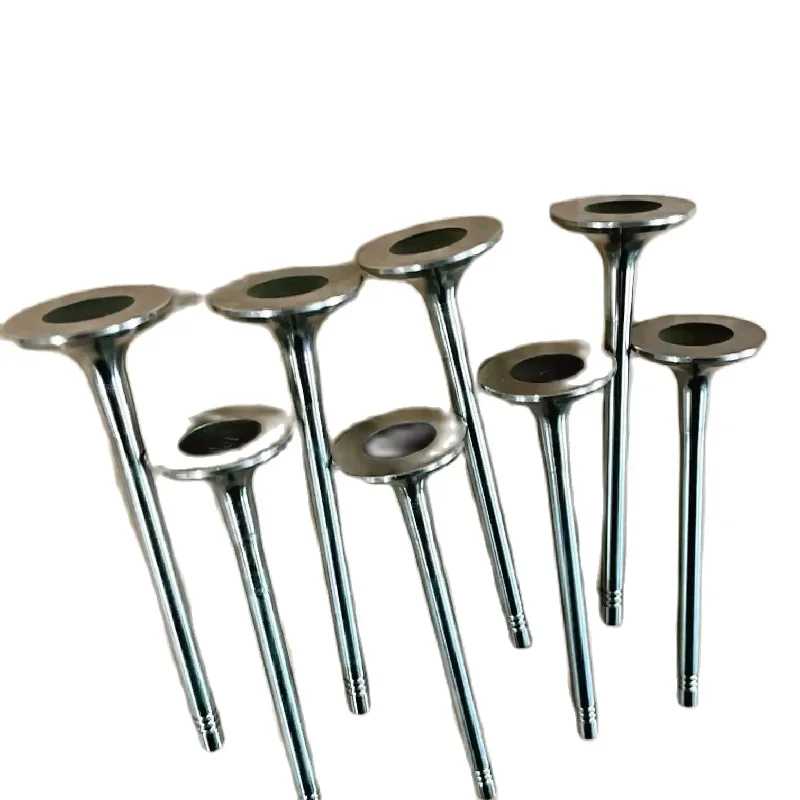 

Original Car Parts Oe Number 1003201gd190 For Jac Pick Up T8 T6 Exhaust Valve High Quality
