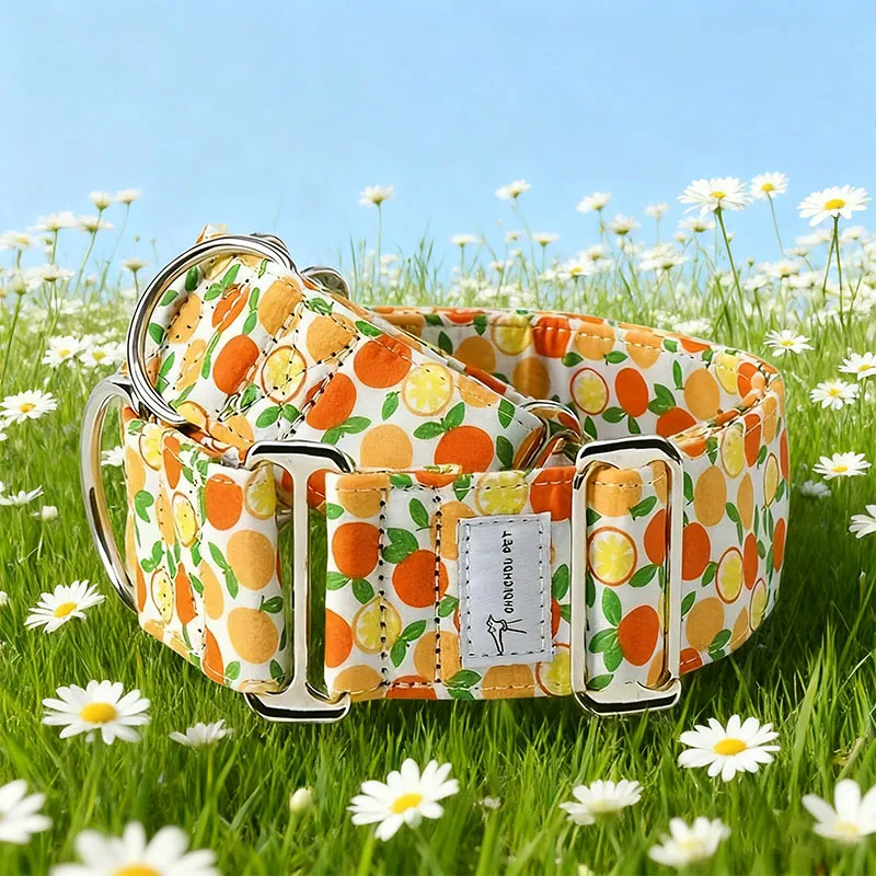 Martinagle Collar ancho ajustable para perros, Collar antitirones con estampado suave para perros medianos, Adecuado para galgos italianos, Whistets y perros de caza visual, Diseño de seguridad antideslizante para mascotas