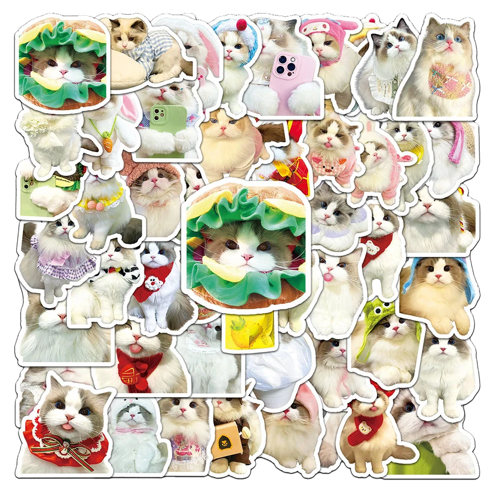 10/30/50pcs Funny Ragdoll Cat Meme Stickers Aesthetic Cute Kitten Cartoon Decal Graffiti Phone Stationery Waterproof DIY Sticker