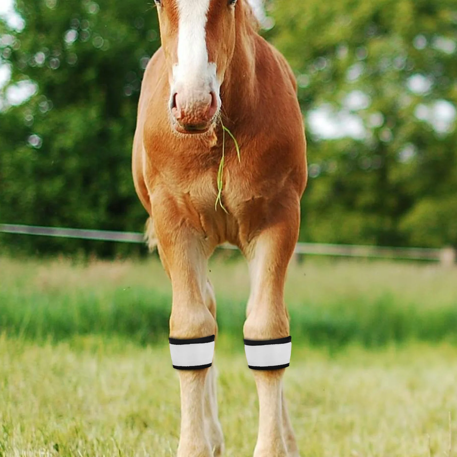 

4 Pcs LED Horse Ankle Bands Leg Wraps High Brightness Comfortable Fit Night Riding Durable Lightweight Portable Accessories