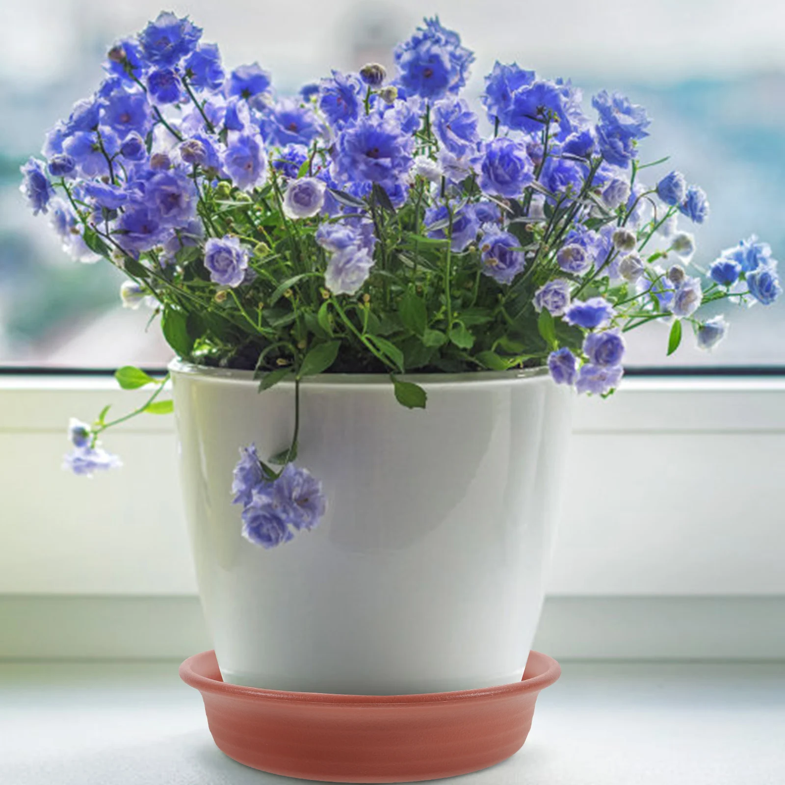 

2pcs Resin Tray Flower Pot Saucers Tea Color Hanging Water Trays Drainage Indoor Planting Wall Multi Use Plant Saucer