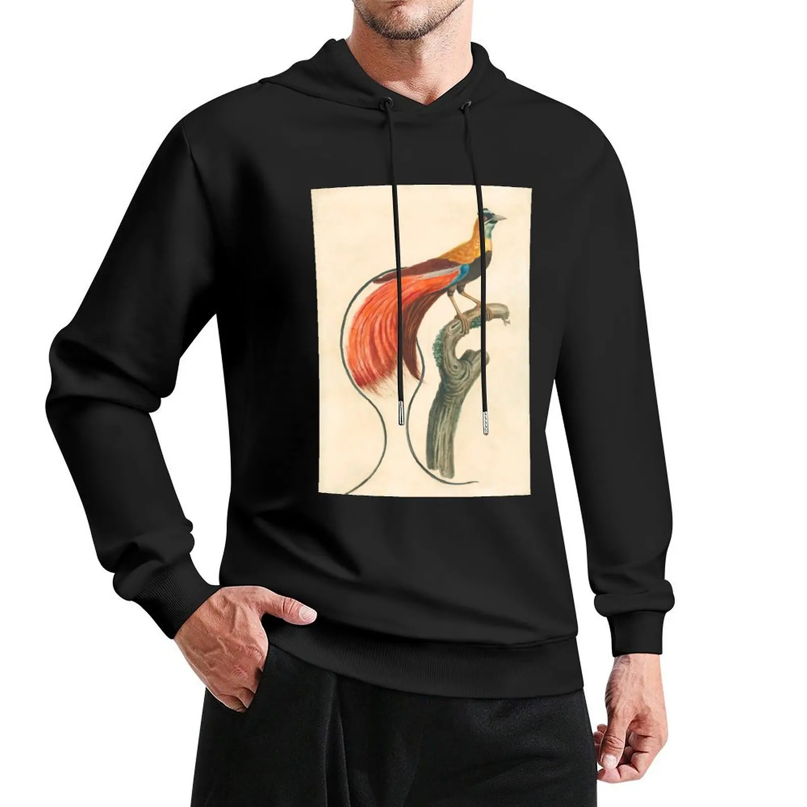 Raggiana Bird of Paradise Pullover Hoodie mens clothing japanese style hoodies for men