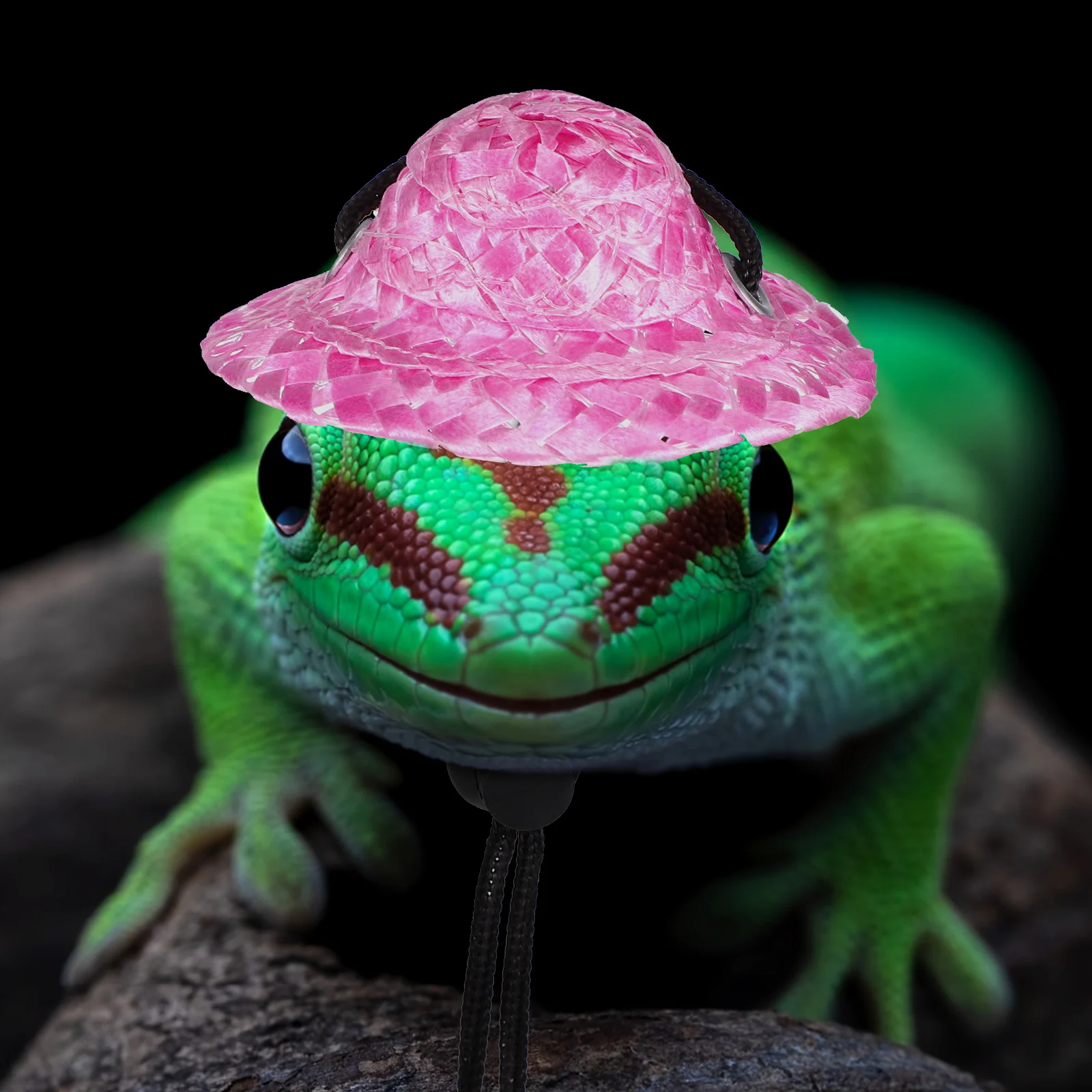 

1Set Lizard Costume Set Comfortable Wearable Tutu Skirt Hat for Bearded Dragon Gecko Chameleon Reptile Pet Festive Photo Props