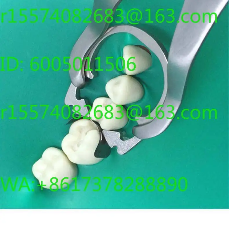 Resin Clamping Ring Clamp Douban Forming Sheet Clamp Placement Tweezers Forming Sheet Placement Tweezers