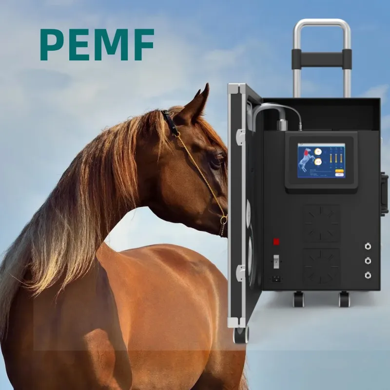 

Equine Magneto therapy EMTT PEMF Physiotherapy Machine For Muscle Swelling And Inflammation With 4 Tesla Water Cooling System