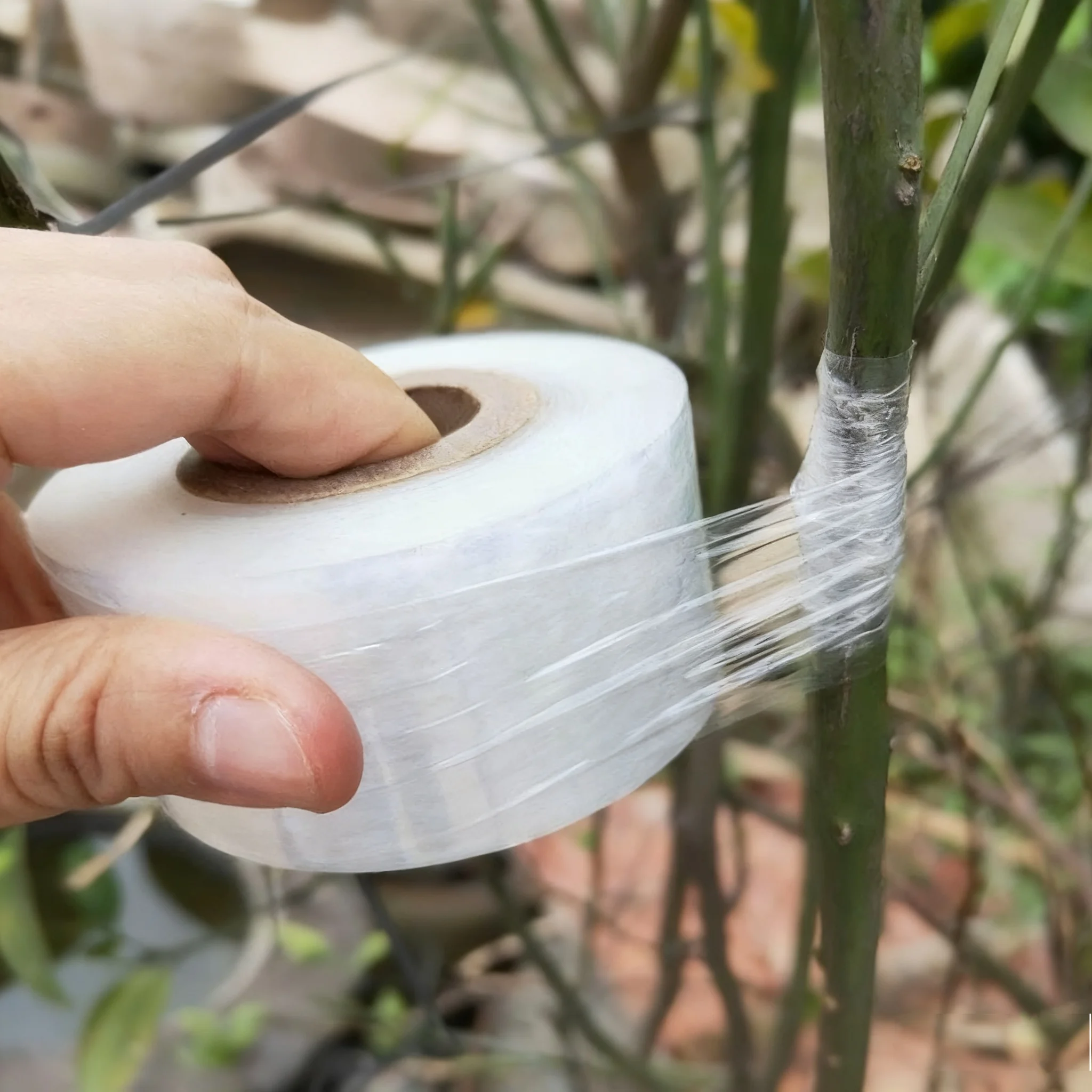 Grafting Tape Film Self-adhesive for Fruit Tree Nursery Plants Seedlings Vine Floristry Tomato Grafting Supplies Stretch