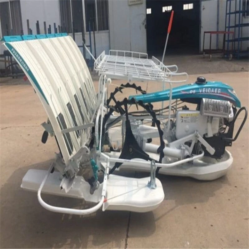 Многорядное рассадочное устройство для рассады, посадка рассады, ручная сеялка для рассады