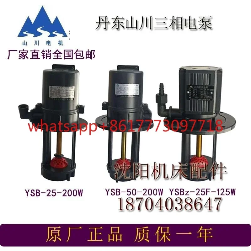 Machine Tool three-phase electric pump cooling water pump YSB2-25/6 200W YSBz-25F