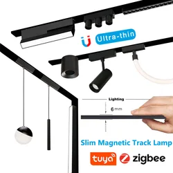 Tuya Zigbee Smart Magnetic Track Light, trilho ultra fino regulável, montagem em superfície personalizável, moderno Flood Grille Spot, lâmpada LED