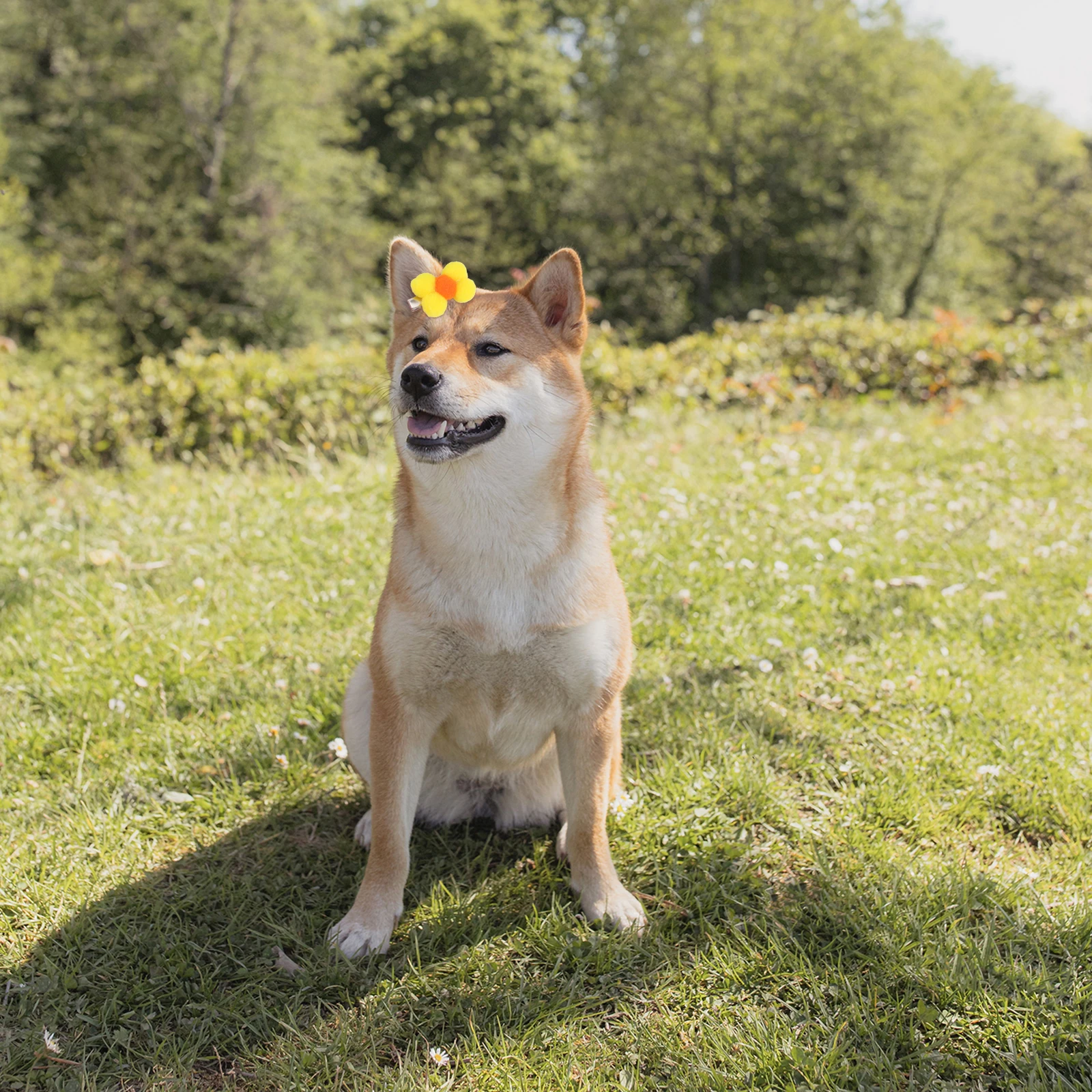 

10 Pcs Pet Hairpin Puppy Decor Bow Ornament Mini Dog Clip Manual Headdress Bowknot