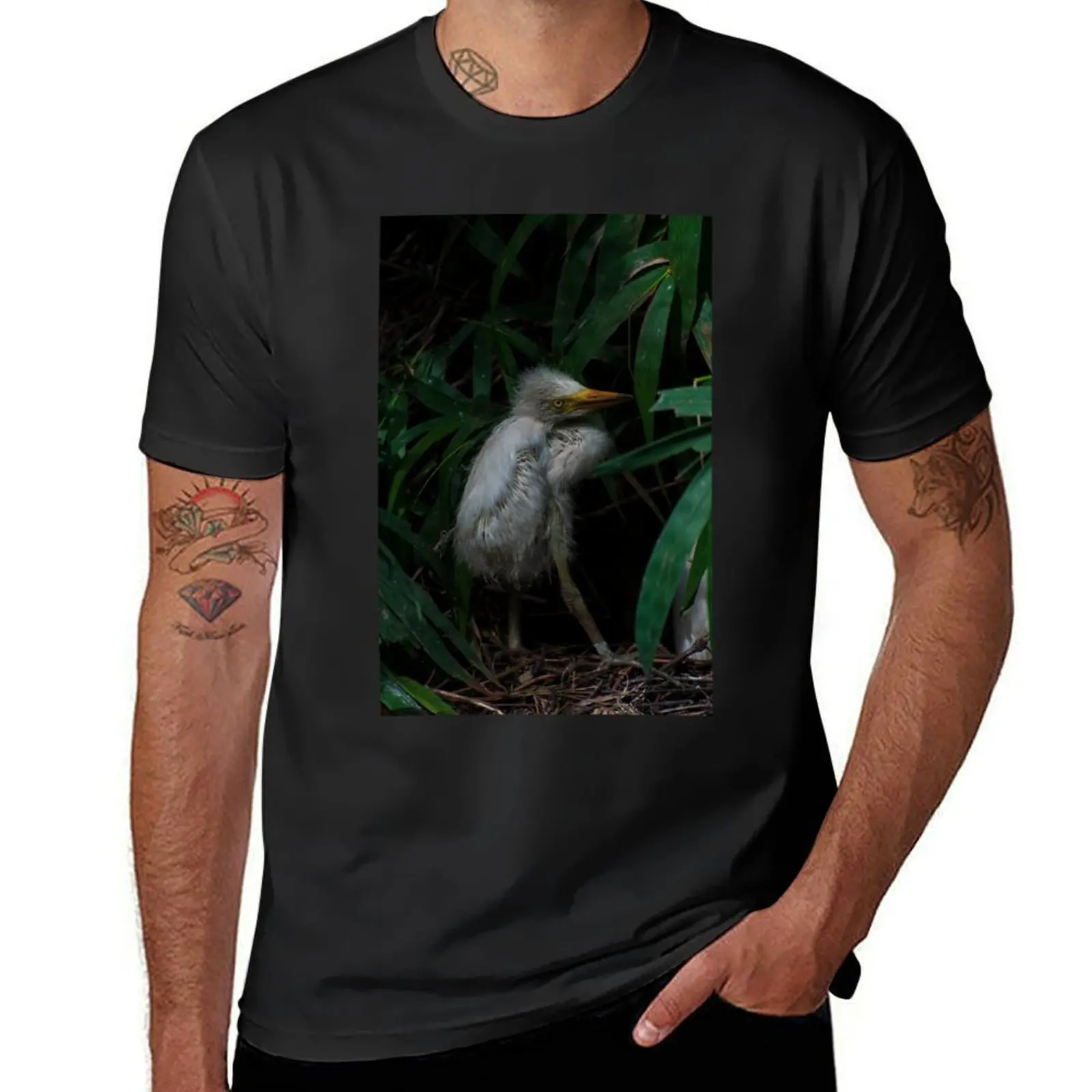 Beautiful white egret baby bird in the nest. T-Shirt Blouse Short sleeve tee for a boy Short sleeve tee men