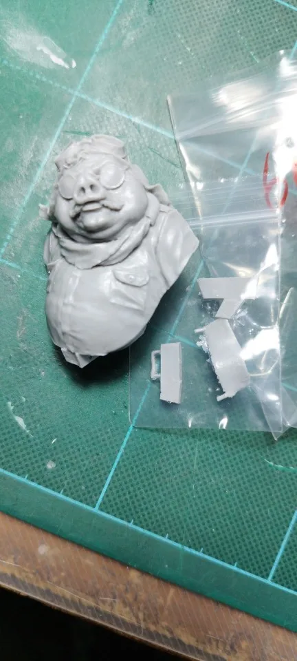 Buyer photo of this resin kit
