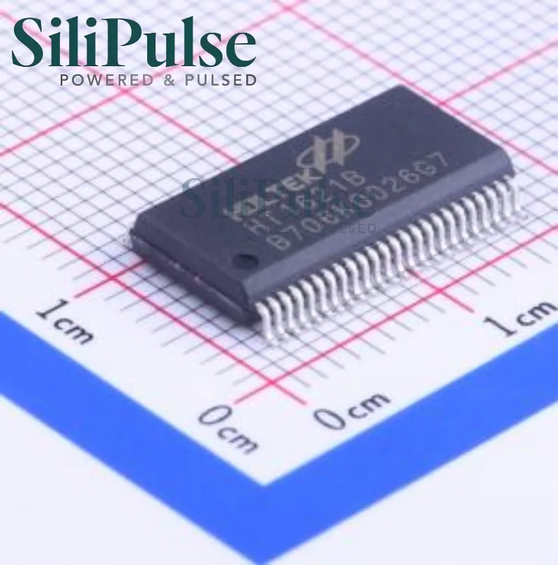 (10-50pcs) HT1621B SSOP-48 100% Original In Stock