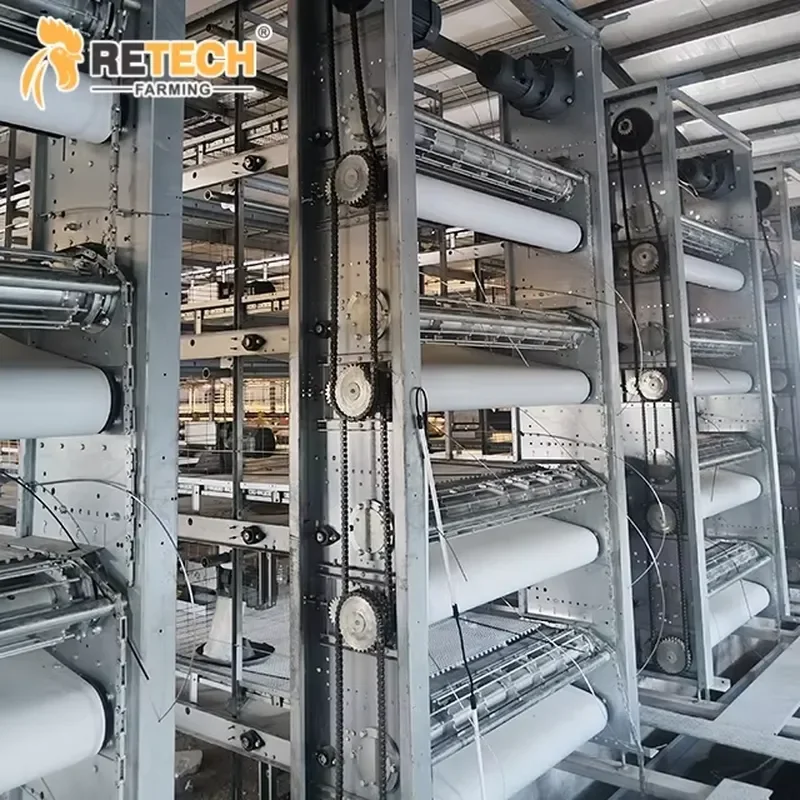 Prefab Steel Structure Broiler House H-type Poultry Farming Cage Equipment with Automatic Chicken Drinkers for poultry