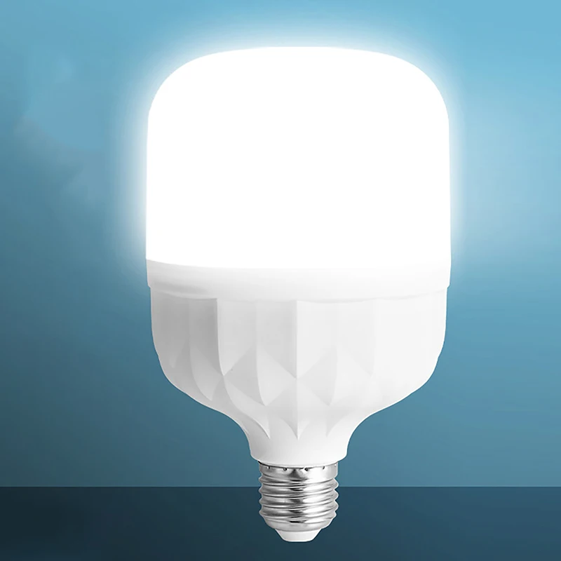 Ampoule LED pour Plafond de Maison, 220V