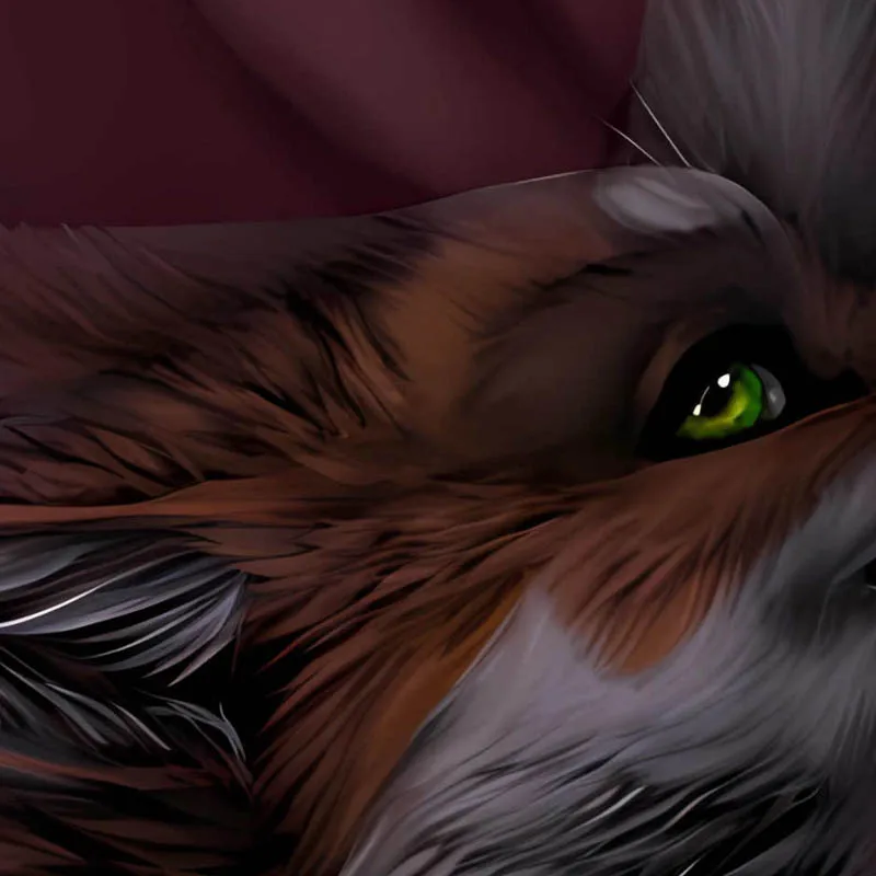

DIY Customized Dakimakura Anime Darkwingo Furry Pillowcase Double-sided Print Pillow Cover Case
